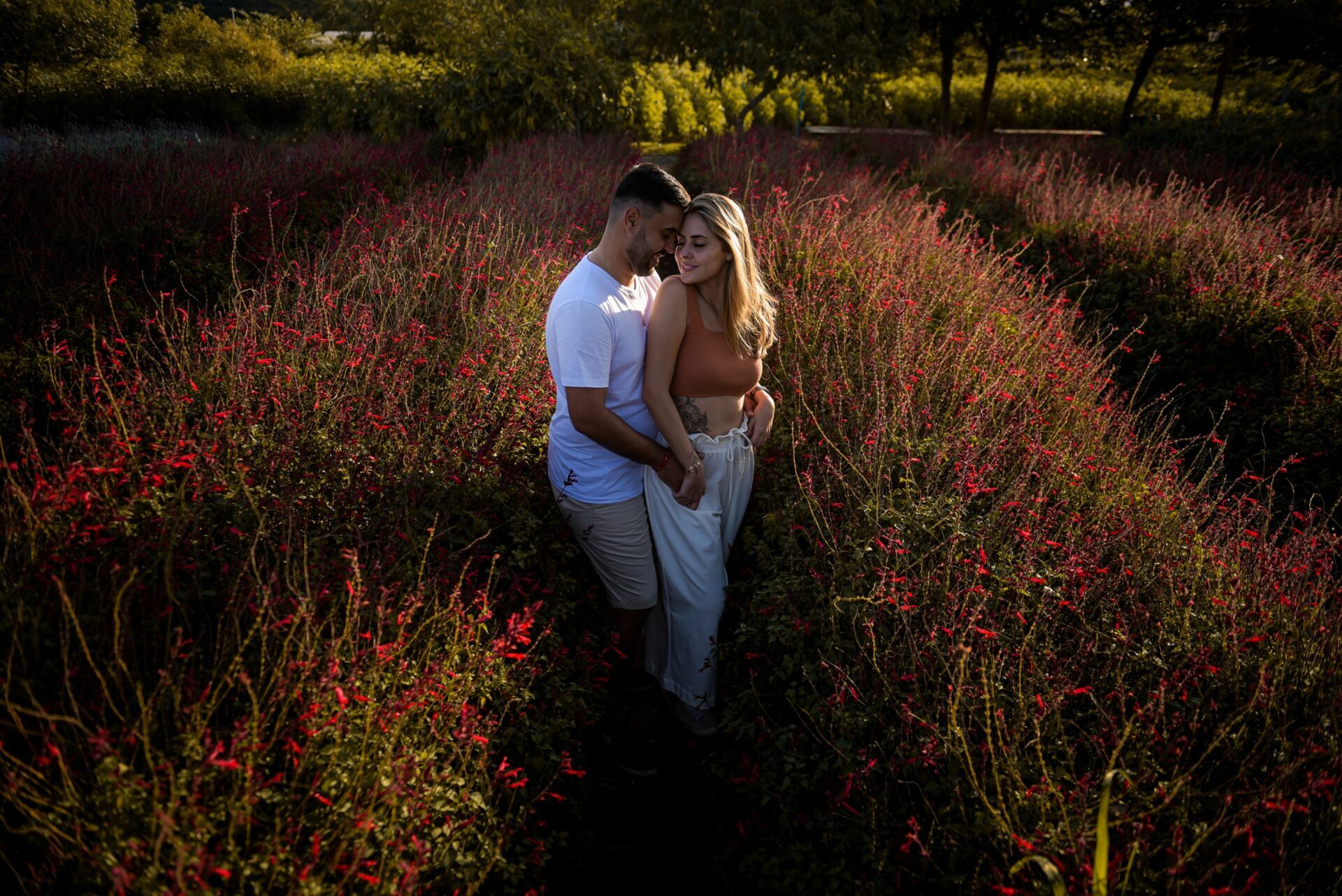 Foto Bel e Matheus | Pre Wedding | Holambra - Imagem 10