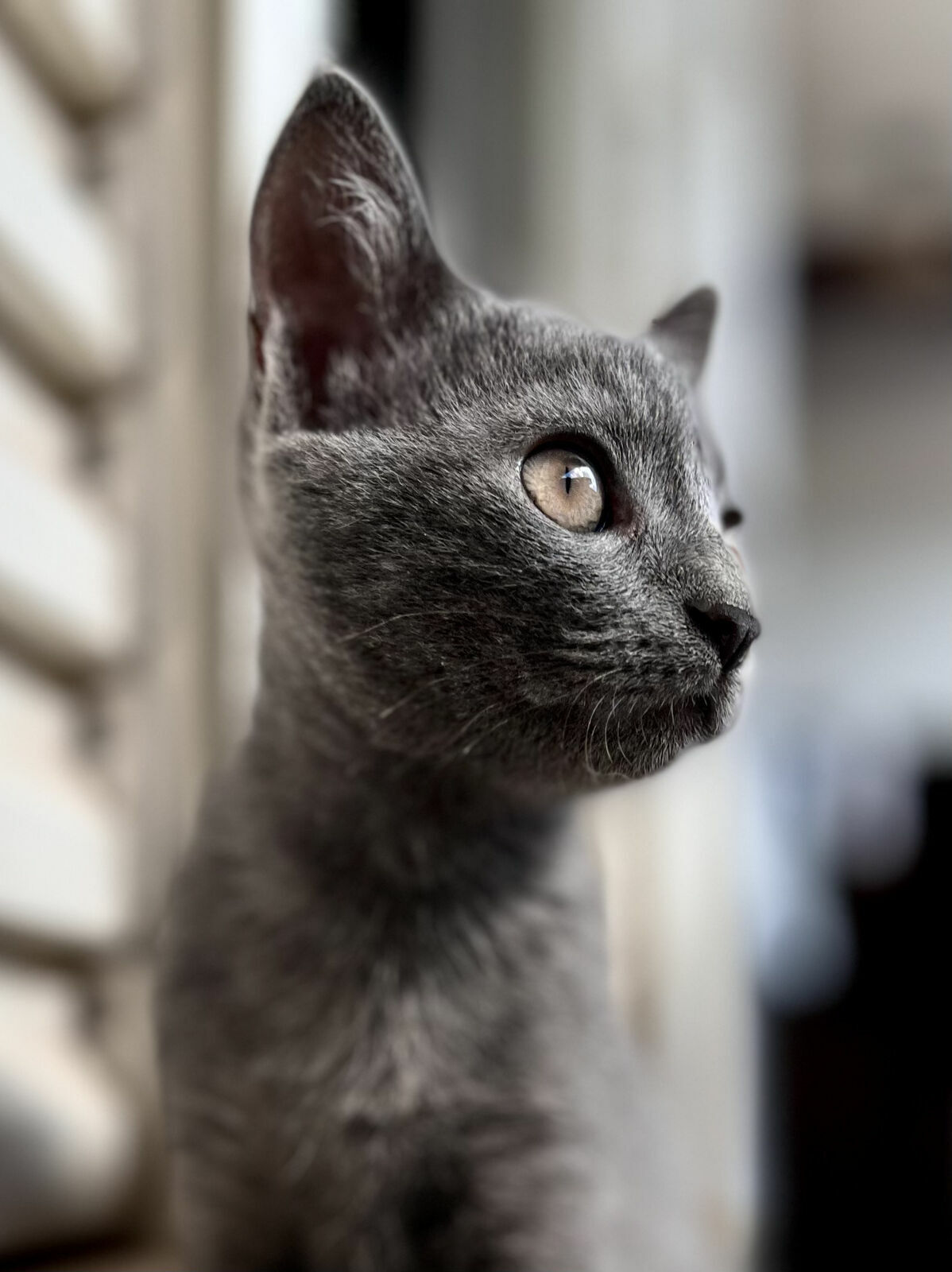 Foto Workshop Fotografia com Celular - Imagem 8