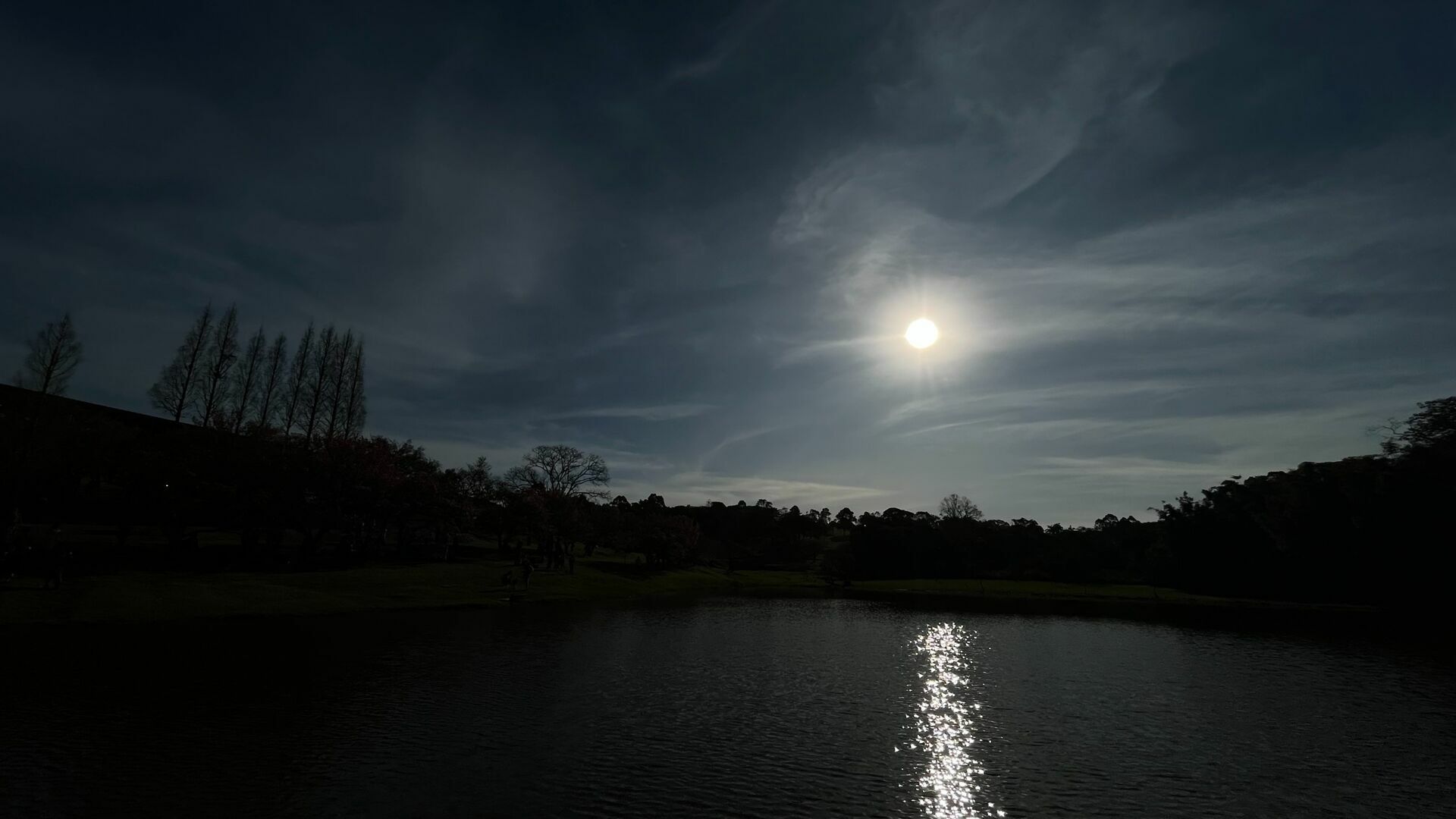 Foto Workshop Fotografia com Celular - Imagem 25