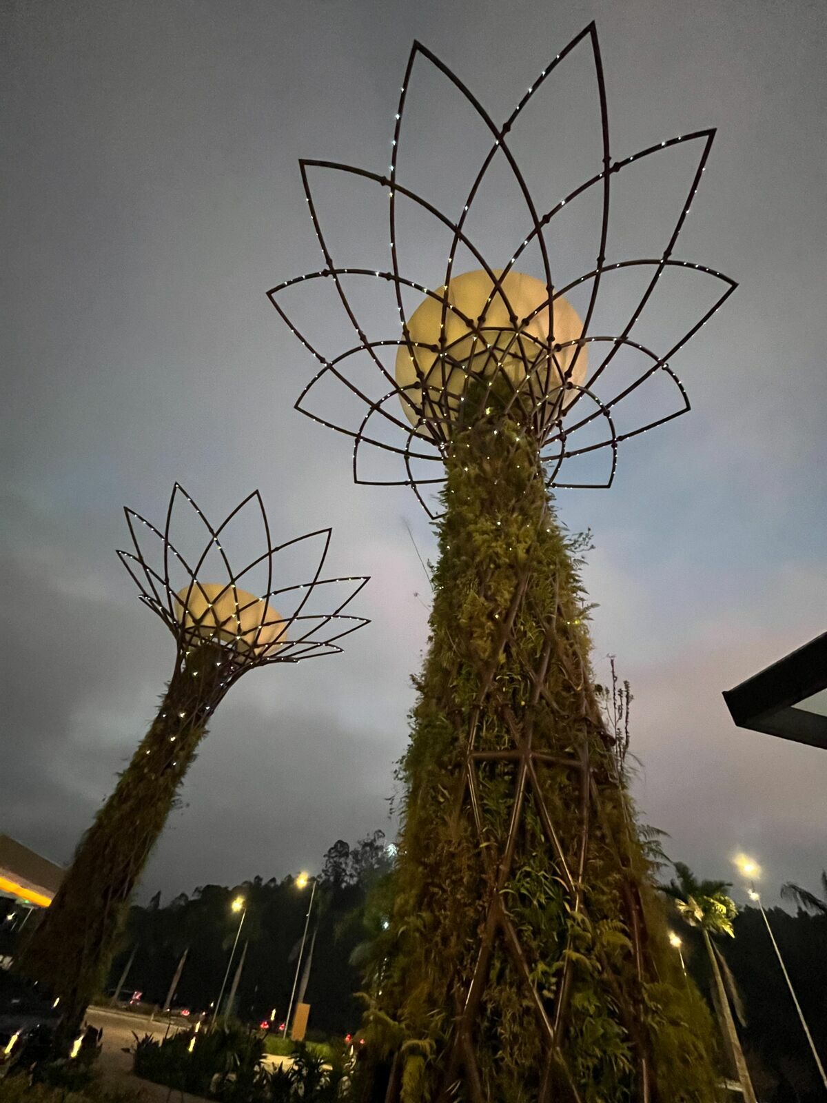 Foto Workshop Fotografia com Celular - Imagem 20